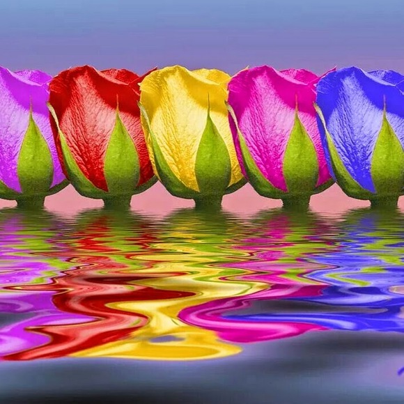 Meet your Posher, Meisha - Picture 1 of 1